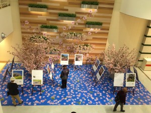 20200326 郡山市　エスパル花写真展_200326_0007